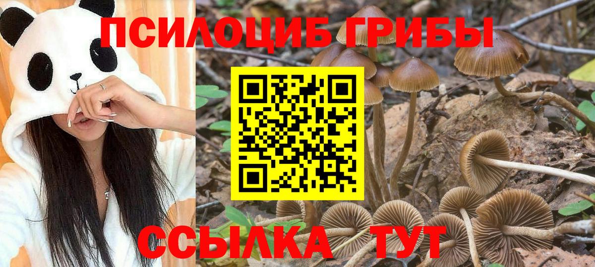 Псилоцибиновые грибы Cubensis  Вход с VPN  Грозный 